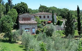 Campo Agli Olivi